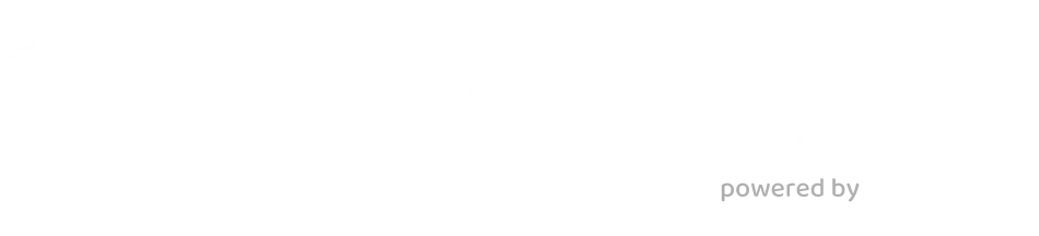 Qronos circuit optimisation visualization